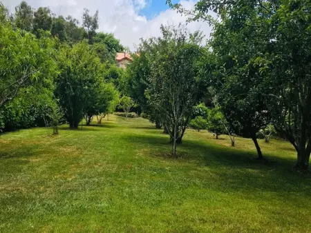 Studio rural pour 2 personnes à Bourg Murat, La Réunion - Photo 8