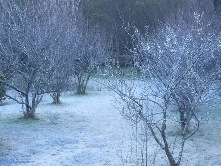 Studio rural pour 2 personnes à Bourg Murat, La Réunion - Photo 9