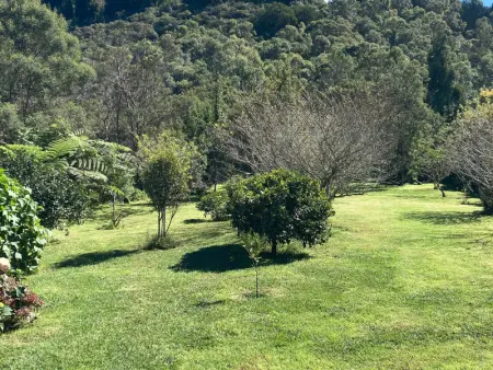 Studio rural pour 2 personnes à Bourg Murat, La Réunion - Photo 12