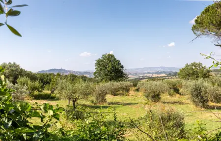 Alabarda, Maison 4 personnes à Todi PG - Photo 28