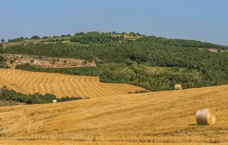 Alabarda, Maison 4 personnes à Todi PG - Photo 30