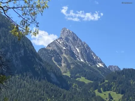 Malgré-tout, Appartement 2 personnes à Saanen - Photo 2