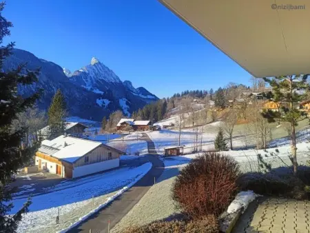 Malgré-tout, Appartement 2 personnes à Saanen - Photo 3