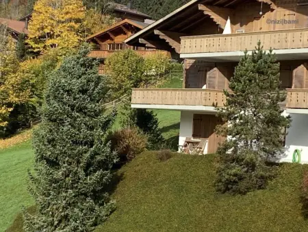 Malgré-tout, Appartement 2 personnes à Saanen - Photo 4