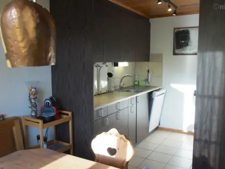 Malgré-tout, Appartement 2 personnes à Saanen - Photo 16