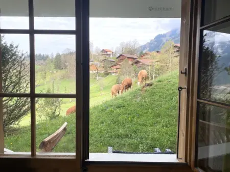 Malgré-tout, Appartement 2 personnes à Saanen - Photo 18