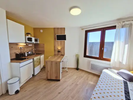 Studio 2 pers au pied des pistes - Ski et rando, Appartement 2 personnes à Saint Michel de Chaillol - Photo 1