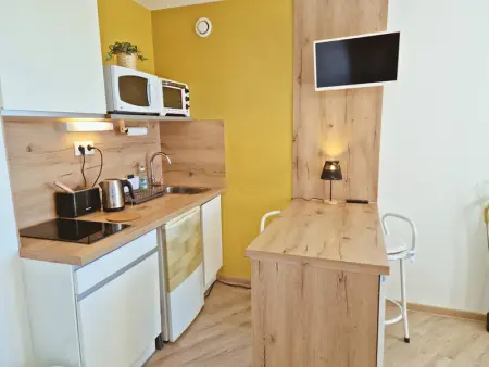 Studio 2 pers au pied des pistes - Ski et rando, Appartement 2 personnes à Saint Michel de Chaillol - Photo 2