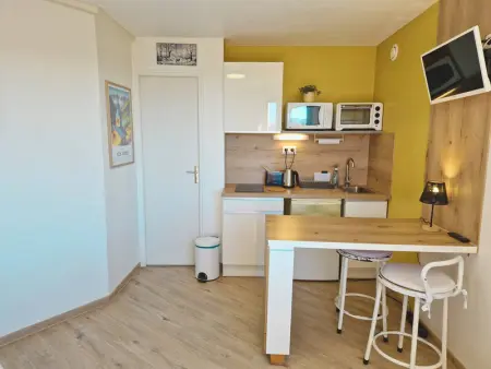 Studio 2 pers au pied des pistes - Ski et rando, Appartement 2 personnes à Saint Michel de Chaillol - Photo 6