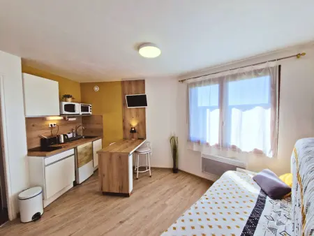 Studio 2 pers au pied des pistes - Ski et rando, Appartement 2 personnes à Saint Michel de Chaillol - Photo 8