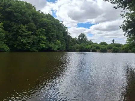 Charmant studio à Néris-les-Bains de 20 m², Appartement 2 personnes à Néris les Bains - Photo 8