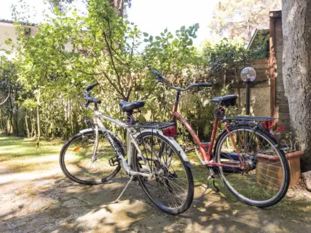 La casina nel bosco, Maison 2 personnes à Sabaudia - Photo 13