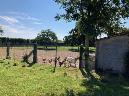 Maison en pierre rénovée avec WIFI et parking à Quettreville-sur-Sienne - Photo 17