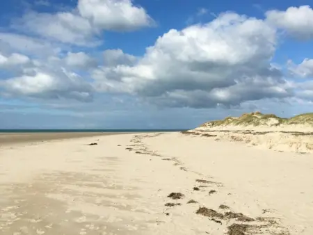 Maison en pierre rénovée avec WIFI et parking à Quettreville-sur-Sienne - Photo 19