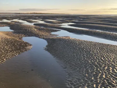 Maison en pierre rénovée avec WIFI et parking à Quettreville-sur-Sienne - Photo 20