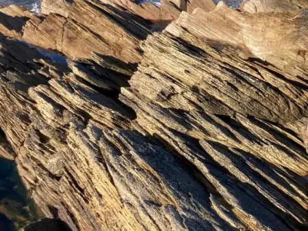 Maison en pierre rénovée avec WIFI et parking à Quettreville-sur-Sienne - Photo 23