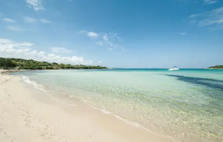 Azzurra, Appartement 6 personnes à Porto Rotondo  OT - Photo 3