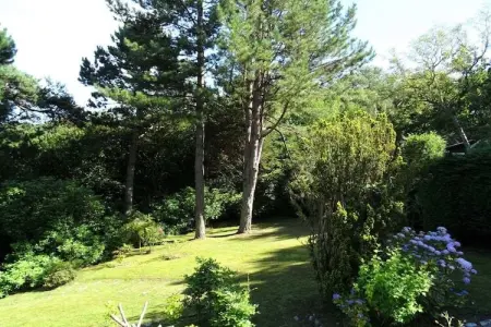 216733, Gite 6 personnes à Sainte Marguerite sur Mer - Photo 3