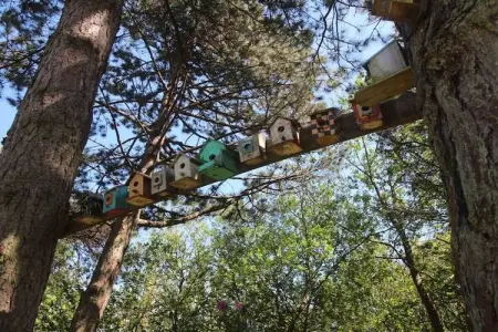 216733, Gite 6 personnes à Sainte Marguerite sur Mer - Photo 5