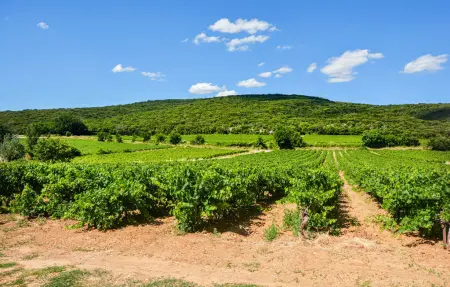 Maison 10 personnes à Uzès - Photo 37