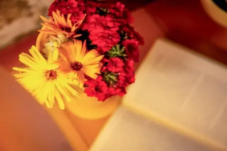 90263, Maison 5 personnes à Saint Julien de Payrolas - Photo 16