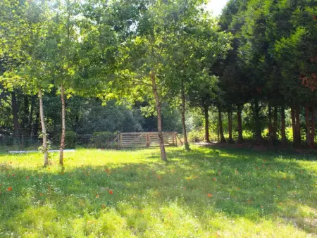 Le Moulin de Lachalade, Maison 12 personnes à Lachalade - Photo 54