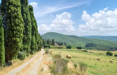 Location Maison 14 personnes à Subbiano - Photo 8