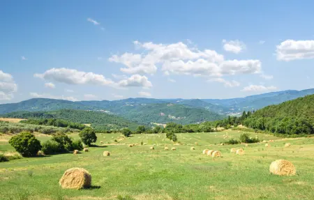 Location Maison 14 personnes à Subbiano - Photo 51