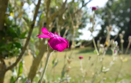 Location Maison 6 personnes à Joganville - Photo 12