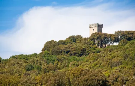 Location Appartement 4 personnes à Casole d'Elsa - Photo 26