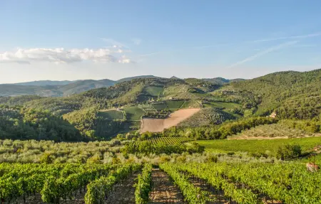 Location Appartement 4 personnes à Casole d'Elsa - Photo 28