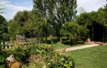Maison 8 personnes à Algaida - Photo 18