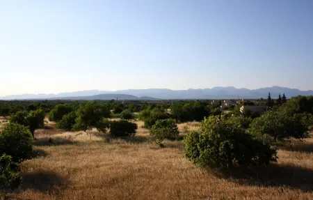 Maison 8 personnes à Algaida - Photo 22