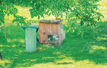 Maison 12 personnes à Nedescina - Photo 54
