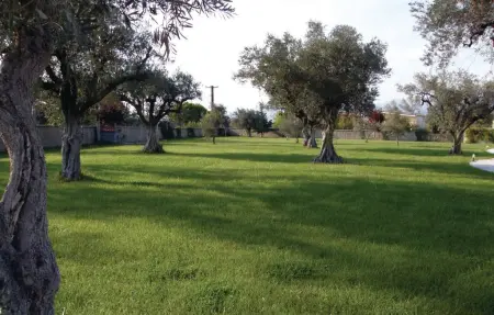 Maison 20 personnes à Kamena Vourla - Photo 14