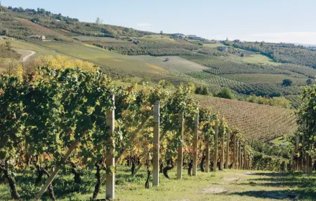 Maison des Reves, Maison 8 personnes à Altavilla Monferrato - Photo 25