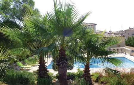 Maison 7 personnes à Roquebrune sur Argens - Photo 9