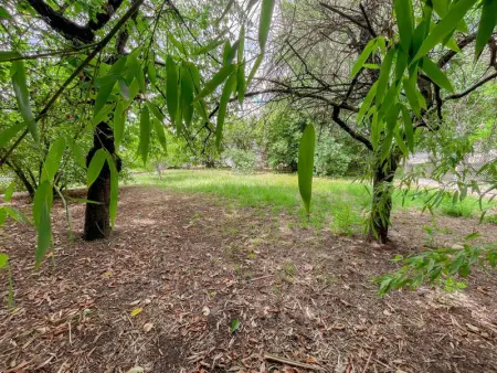 Gîte tout confort avec jardin clos à Pocé-sur-Cisse - Photo 16