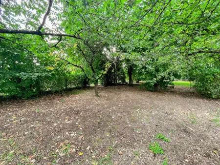 Gîte tout confort avec jardin clos à Pocé-sur-Cisse - Photo 17