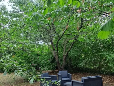 Gîte tout confort avec jardin clos à Pocé-sur-Cisse - Photo 21