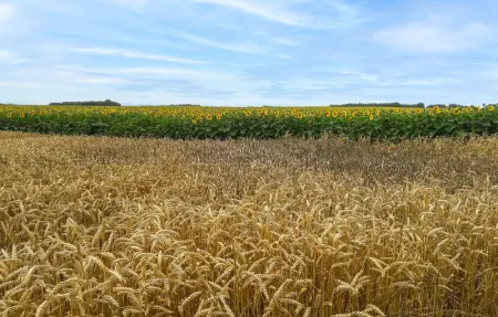 Location Maison 5 personnes à Ceaux en Loudun - Photo 29