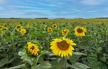 Location Maison 5 personnes à Ceaux en Loudun - Photo 30