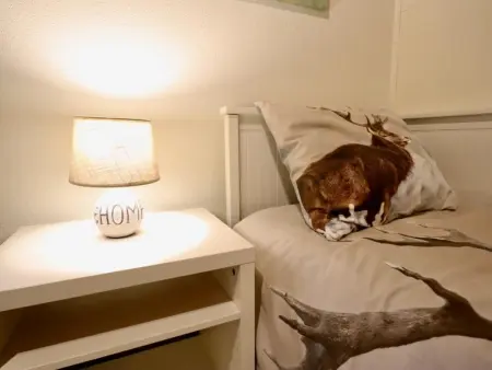 Coeur de Biche, Maison 6 personnes à Rendeux - Photo 16