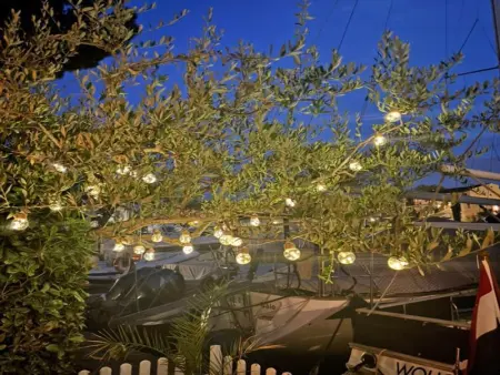 Arlore, Maison 2 personnes à Port Grimaud - Photo 20