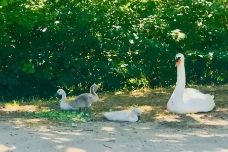 Chez Vous à Uzès, Appartement 4 personnes à Uzès - Photo 29