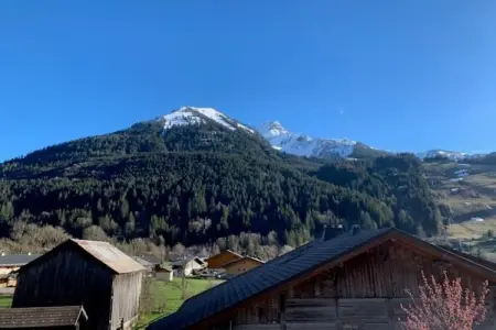 Les Sorbiers, Appartement 6 personnes à La Chapelle d’Abondance - Photo 16