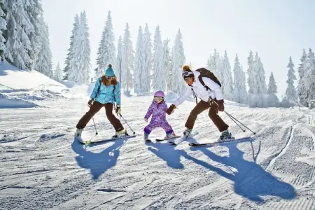 Les Sorbiers, Appartement 6 personnes à La Chapelle d’Abondance - Photo 22