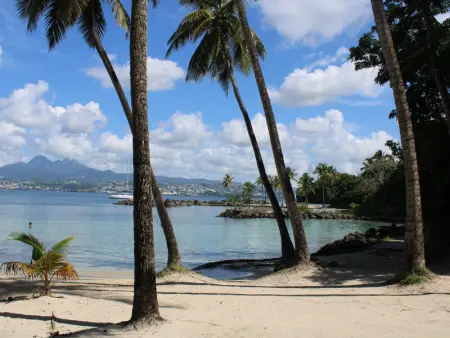Appartement F3 à Marina Pointe-du-Bout, Martinique, proche plage - Photo 6