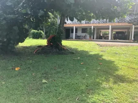 Appartement moderne à Rivière-Pilote, 80 m², jardin - Photo 6