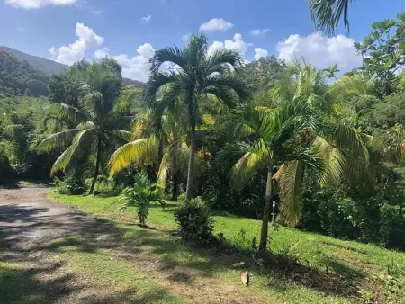 Appartement moderne à Rivière-Pilote, 80 m², jardin - Photo 7